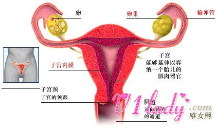 输卵管堵塞要怎么治疗