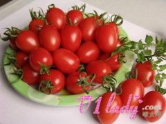 西红柿减肥瘦身要注意的一些问题