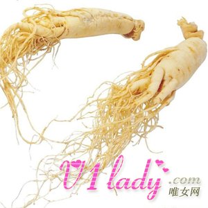 西洋参的副作用有哪些