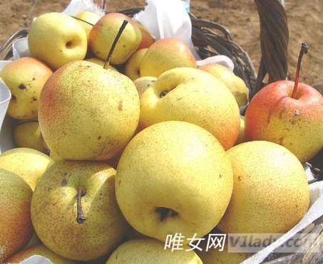 秋季食物榜上各类食物的吃法