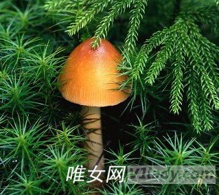 多吃蔬菜让你的肌肤光彩照人