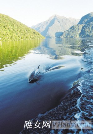 新西兰度假胜地让你畅快呼吸纯净的空气
