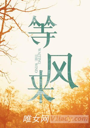 倪妮的电影<等风来>好看吗？主题曲插曲片尾曲影评介绍