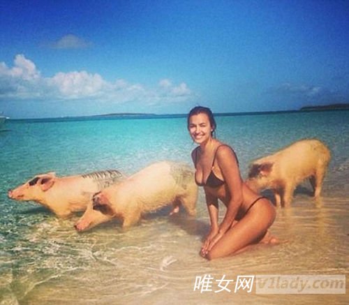 国际名模伊莉娜·莎伊克和猪游泳的图片