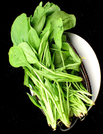 哪些食物抗衰老,推荐8种养颜抗衰食物