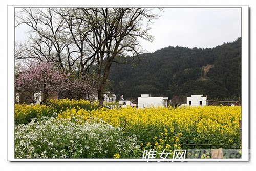 国内有哪些地方比较适合蜜月旅行？