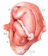 怀孕七个月胎儿图及有哪些注意事项
