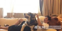 王思聪爱犬王可可熊猫TV的房间网址是多少？